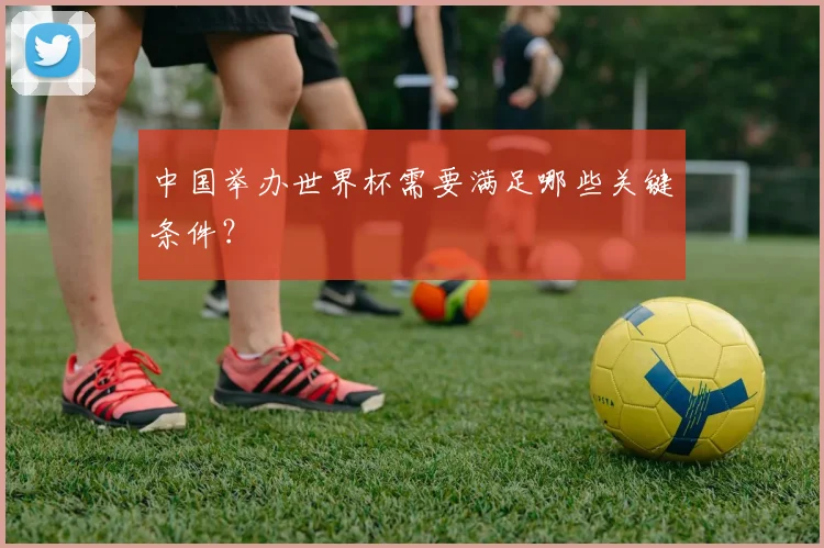 中国举办世界杯需要满足哪些关键条件？