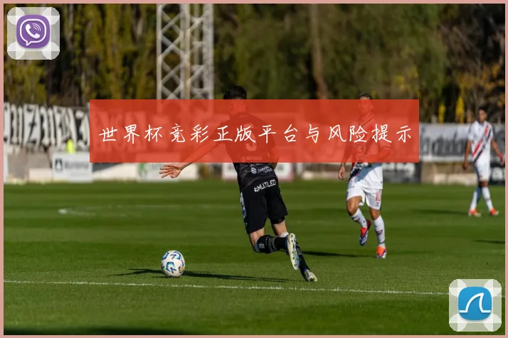 世界杯竞彩正版平台与风险提示
