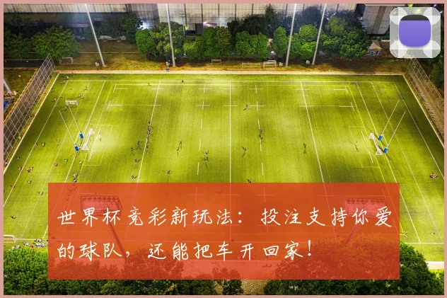 世界杯竞彩新玩法:投注支持你爱的球队,还能把车开回家!
