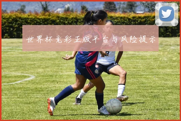 世界杯竞彩正版平台与风险提示